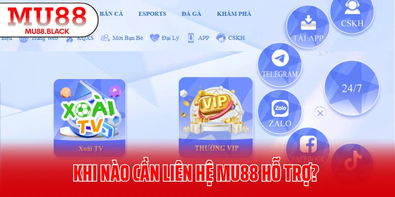 Khi nào cần liên hệ MU88 hỗ trợ?